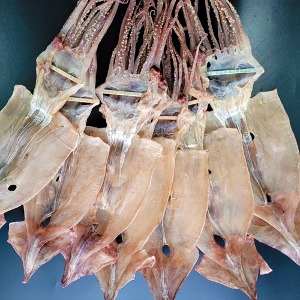 마른오징어 B품 건오징어 500g (8-12미)